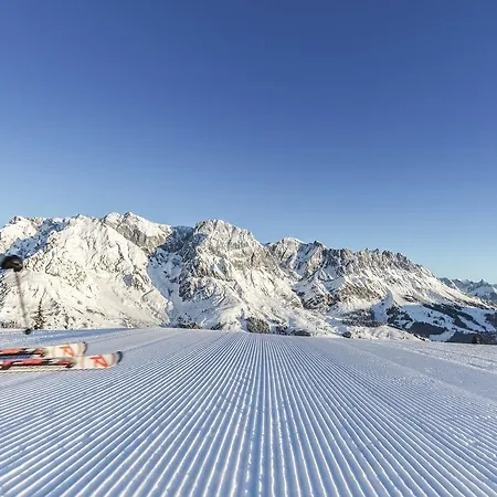 Apartment Apartchalet Almliebe Maria Alm am Steinernen Meer