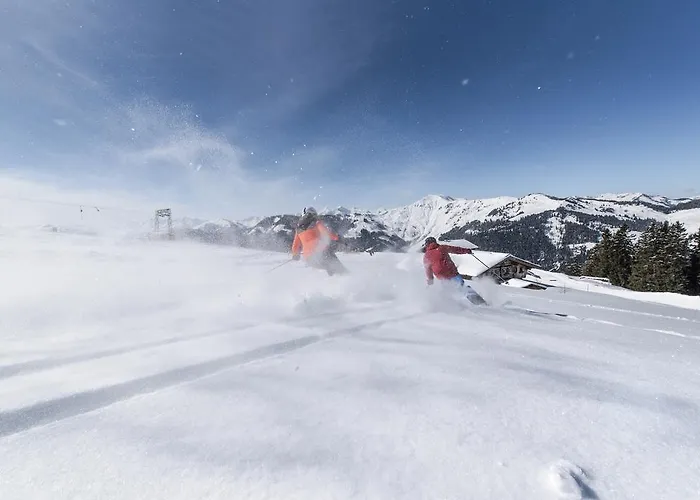 Apartchalet Almliebe Apartment